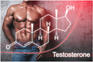 テストステロン