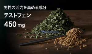 活力支援サプリ